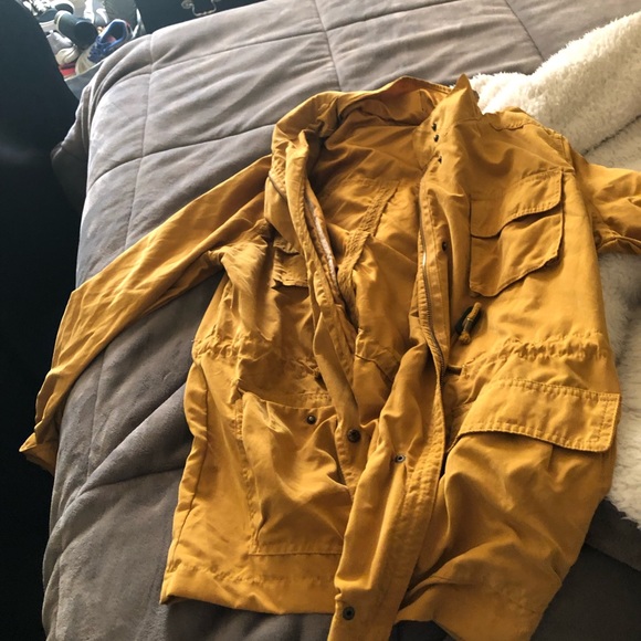 Yellow jacket - Picture 2 of 2